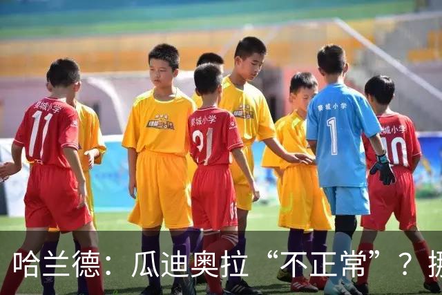 哈兰德：瓜迪奥拉“不正常”？挪威28年后重返世界杯，曼城魔法能带来奇迹吗